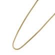 Pozlátený náhrdelník z chirurgickej ocele MNSS49GD