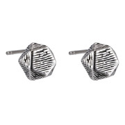 Moderné náušnice kôstky chirurgická oceľ ESS843