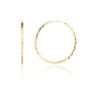 Kruhové strieborné náušnice pozlátené 3134170001