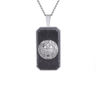Štýlový náhrdelník z chirurgickej ocele lev PSS1178