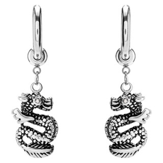 Oceľové náušnice s drakom WJHE1274