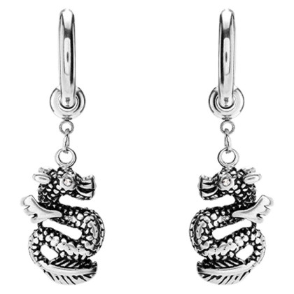 Oceľové náušnice s drakom WJHE1274