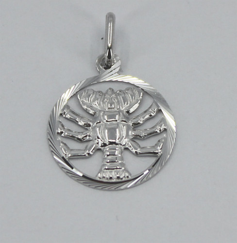 Strieborný prívesok so znamením Rak 3035760011