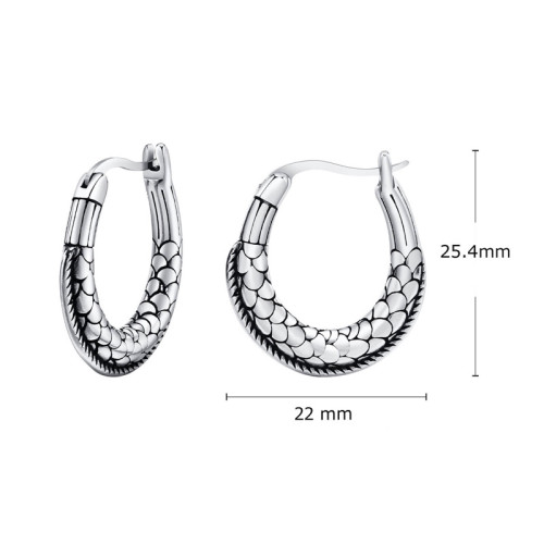 Oceľové visiace náušnice WJHE1.1